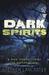 Dark Spirits A Man Terrorized by the Supernatural by Stephen Lancaster