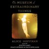 The Museum of Extraordinary Things cover