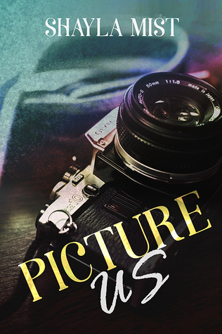 Book cover Picture Us by Shayla Mist