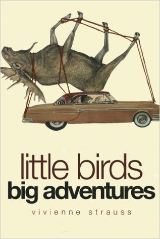 little-birds-big-adventures