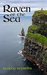 Raven of the Sea (The O'Brien Tales, #1) by Stacey Reynolds