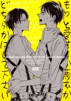 -motto-aisuru-ka-sagesumu-ka-dochira-ka-ni-shite-kudasai