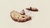 Cookie Jar A Short Story by Stephen King