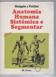 Anatomia Dangelo E Fattini Pdf