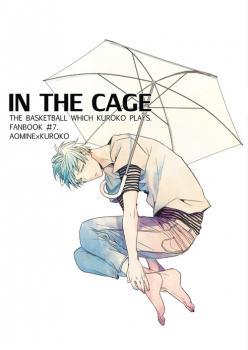 in-the-cage