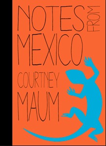 Notes from Mexico