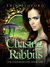 Chasing Rabbits (The Underground, #1) by Erin R. Bedford