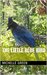 The Little Blue Bird by Michelle Green