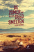 De zomer die alles deed smelten by Tiffany McDaniel