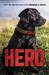 Hero (Hero #1) by Jennifer Li Shotz