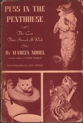 puss-in-the-penthouse-the-cat-that-struck-it-rich