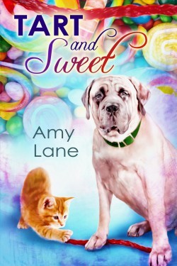Tart and Sweet (Candy Man #4) - Amy Lane