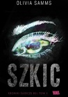 Szkic (Kroniki śledcze Bei, #1)