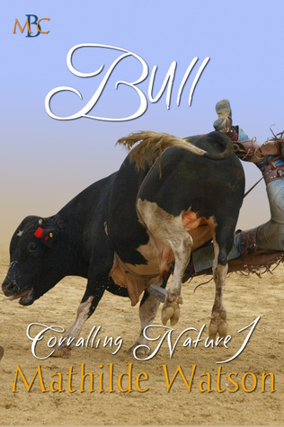 bull