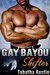 Gay Bayou Shifter (Werewolf Mating #1) by Tabatha Austin