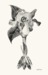 wild irises by xxxxx xxxxx