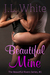 Beautiful Mine by J.L. White