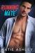 Running Mate by Katie Ashley