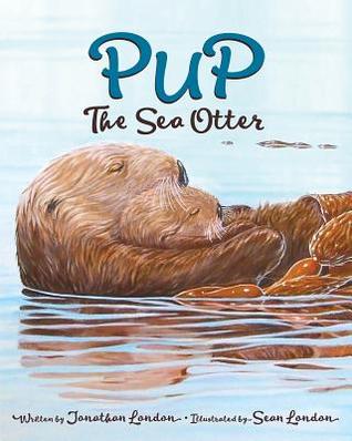pup-the-sea-otter