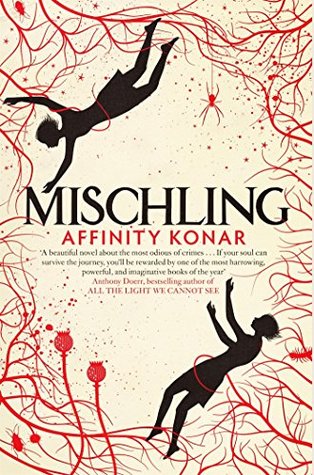Image result for mischling novel