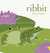 Ribbit by Jorey Hurley