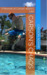 Carson's Chaos A Memoir of Carson Adam's Life by Carson Adams
