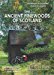 the-ancient-pinewoods-of-scotland-a-companion-guide