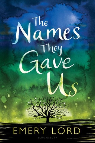 Waiting On Wednesday: The Names They Gave us by Emery Lord