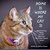 Home is Where My Cat is