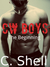 CW Boys The Beginnings by C. Shell