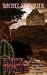 Black Dog Short Stories II by Rachel Neumeier