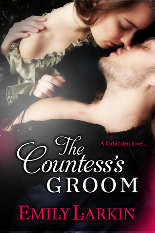 The Countess's Groom