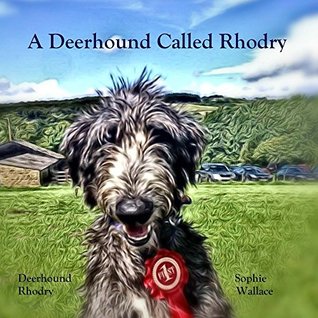 a-deerhound-called-rhodry