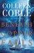 Beneath Copper Falls (Rock Harbor #6) by Colleen Coble
