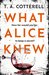 What Alice Knew: The addictive domestic thriller with a heart-stopping final twist