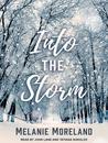 Into The Storm cover