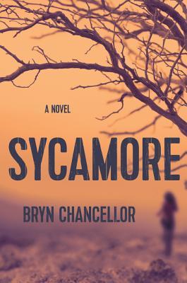Sycamore By Bryn Chancellor Sycamore By Bryn Chancellor