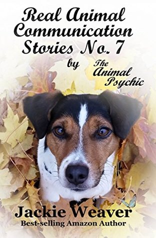 real-animal-communication-stories-no-7-by-the-animal-psychic
