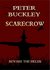 Scarecrow by Peter Buckley