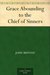 Grace Abounding to the Chief of Sinners