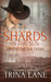 Shards in the Sun (The Heart of Texas, #1) by Trina Lane