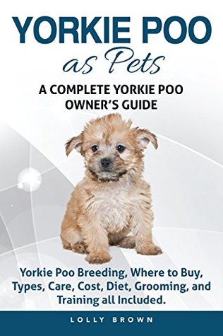 where to buy yorkies yorkie poo as pets yorkie poo where to buy types care cost diet where to buy yorkies yorkie poo as pets yorkie poo where to buy types care cost diet