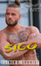 Sico (Areion Fury MC #5) by Esther E. Schmidt