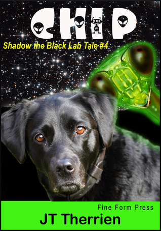 chip-a-shadow-the-black-lab-tale-4