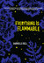 Everything is Flammable by Gabrielle Bell