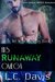 His Runaway Omega (The Mountain Shifters, #4) by L.C. Davis