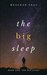 The Big Sleep Dreamwalkers by Meaghan Gray