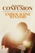 Beautiful Confusion A Pride and Honor Novella by Ember Raine Winters