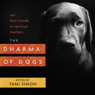 the-dharma-of-dogs-our-best-friends-as-spiritual-teachers