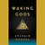 Waking Gods (Themis Files #2) by Sylvain Neuvel